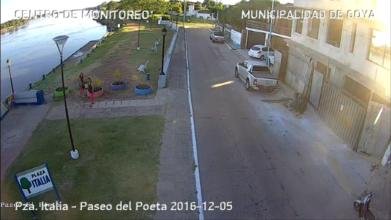 ¡PERO QUÉ LINDO! La Municipalidad de Goya pone plantas en las plazas y algunos sinvergüenzas se las llevan a su casa