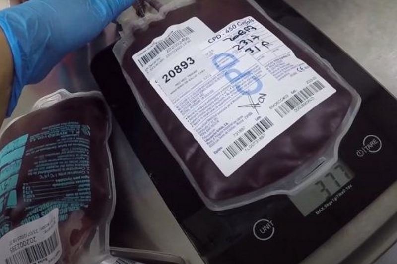 Donación de plasma para tratar el coronavirus qué es y cuáles son los requisitos