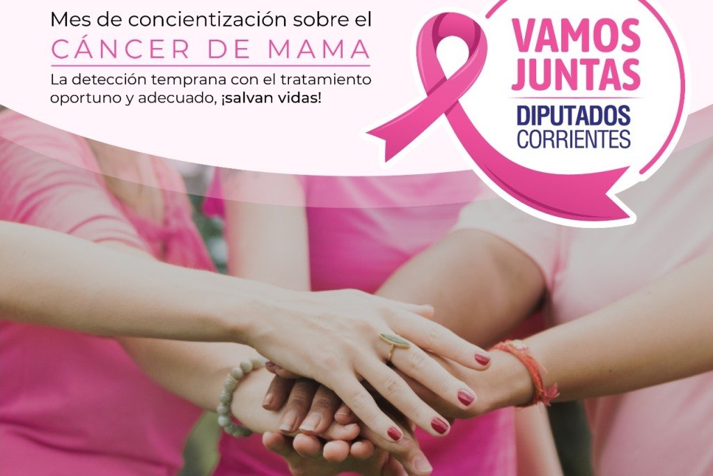La Cámara de Diputados adhirió al mes rosa para prevenir el cáncer de mama